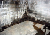 Importance-of-basement-maintenance