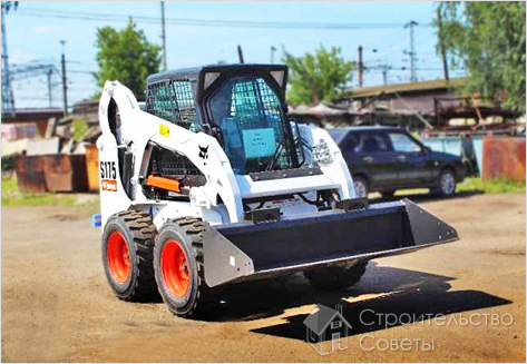 bobcat