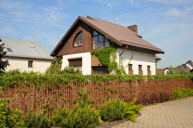 Деревянный забор из штакетника с зеленью