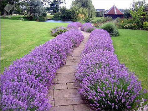 Дорожка из бетонной плитки