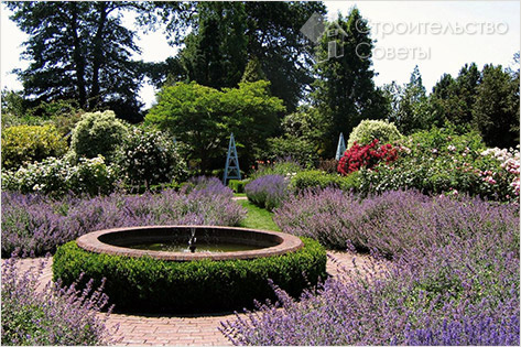 Достоинства декоративного фонтана