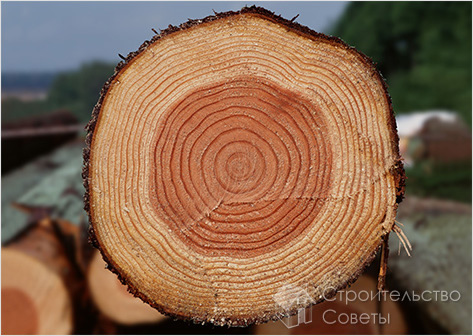 Древесина для дачного стола