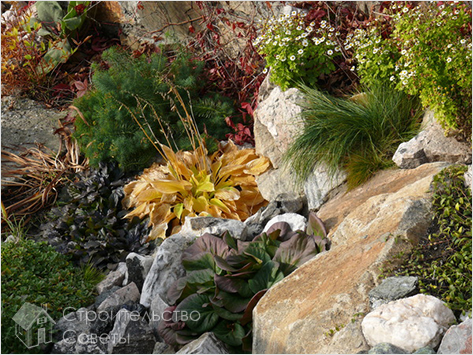 Камни на участке на склоне