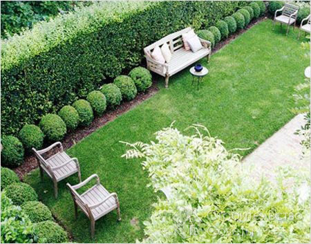 Комбинирование растений для живой изгороди