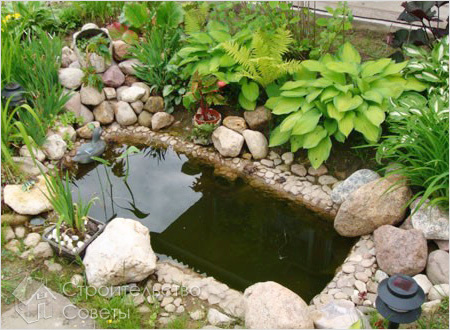 Маленький пруд для дачи