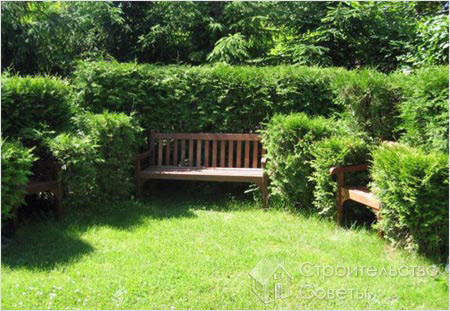 Место уединения — живая изгородь