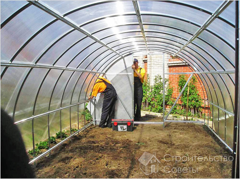 Особенности строительства теплицы