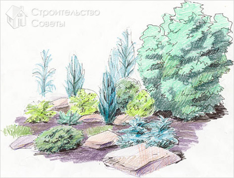 Планировка устройства рокария