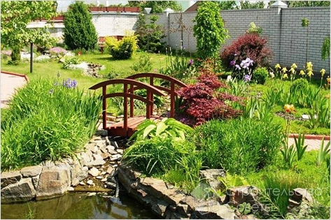 Приусадебный участок своими руками