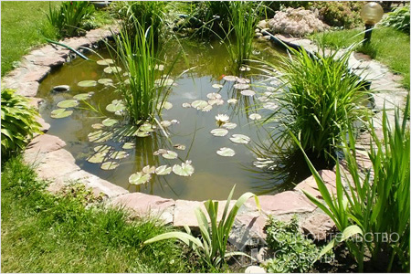 Пруд на даче своими руками