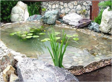 Пруд с выложенным камнями дном