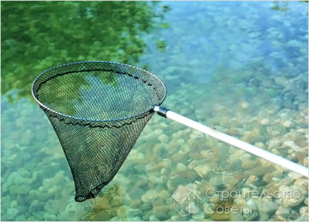 Рекомендации по ухода за прудом