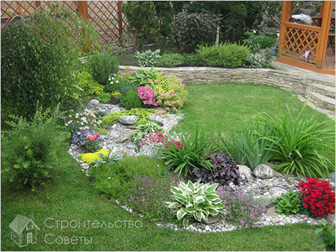 Сухой ручей с растениями