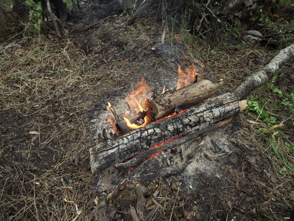 Таежный костер Таежный костер