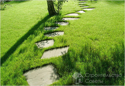 Травянистые дорожки