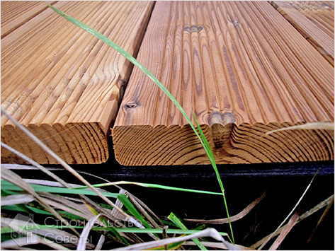 Виды защиты дерева