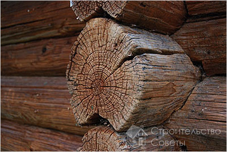 Выявление причин гниения нижних венцов дома